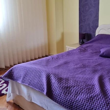 Apartament Cu 2 Camere Spatioase In Centrul Orasului - Andrei 布勒伊拉 外观 照片