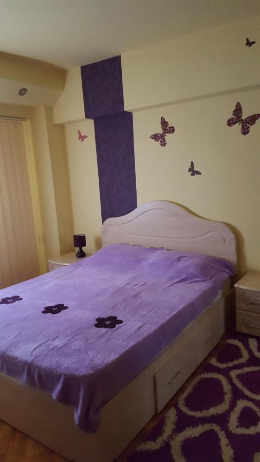 Apartament Cu 2 Camere Spatioase In Centrul Orasului - Andrei 布勒伊拉 外观 照片